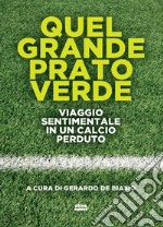 Quel grande prato verde. Viaggio sentimentale in un calcio perduto libro