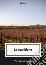 La sparizione libro