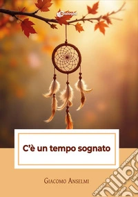 C'è un tempo sognato libro