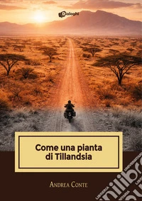 Come una pianta di Tillandsia