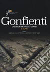 Gonfienti. L'insediamento etrusco e romano. Lo scavo. Ediz. illustrata libro