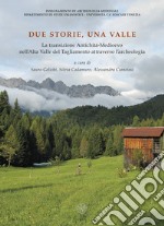 Due storie, una valle. La transizione Antichità-Medioevo nell'Alta Valle del Tagliamento attraverso l'archeologia libro