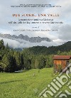 Due storie, una valle. La transizione Antichità-Medioevo nell'Alta Valle del Tagliamento attraverso l'archeologia libro