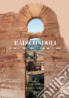 Radicondoli. Storia e archeologia di un comune senese. Nuova ediz. libro di Cucini C. (cur.)