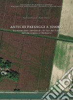 Antichi paesaggi a Jesolo. Trasformazioni ambientali alle foci del Piave dall'età romana al Medioevo. Ediz. italiane e inglese