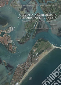 Olivolo, archeologia alle origini di Venezia. Scavi 1986-1992 a San Pietro di Castello libro