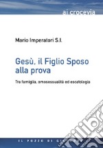 Gesù, il figlio sposo alla prova. Tra famiglia, omosessualità ed escatologia libro