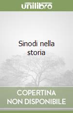 Sinodi nella storia libro