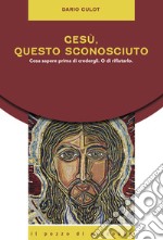 Gesù, questo sconosciuto. Cosa sapere prima di credergli. O di rifiutarlo libro