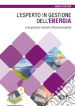 L'esperto in gestione dell'energia. Linee guida per realizzare l'efficienza energetica libro