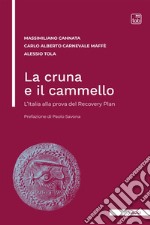 La cruna e il cammello. L'Italia alla prova del Recovery Plan