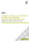 Economic analysis and evaluations of natural gas hydrates exploitation by injection of CO2. Hydrate-based carbon capture technologies libro