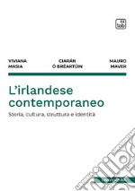 L'irlandese contemporaneo. Storia, cultura, struttura e identità