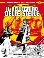 Un buco nel mare. Il pellegrino delle stelle libro