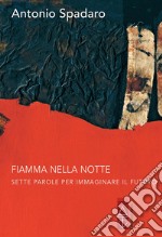 Fiamma nella notte. Sette parole per immaginare il futuro libro