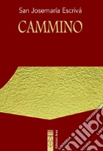 Cammino libro