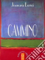 Cammino libro