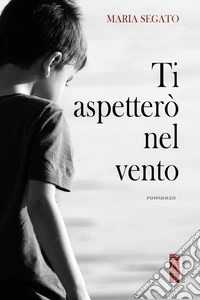 Ti aspetterò nel vento libro