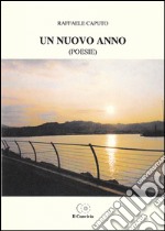 Un nuovo anno libro