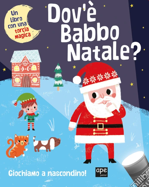 Dov'è Babbo Natale? Ediz. illustrata