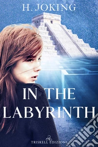 In the labyrinth libro