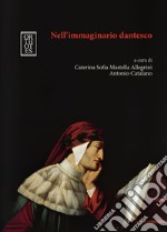 Nell'immaginario dantesco libro