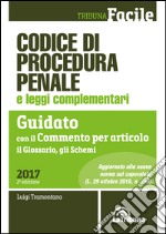 Codice di procedura penale e leggi complementari. Guidato con il commento per articolo, il glossario, gli schemi libro