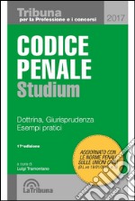 Codice penale Studium. Dottrina, giurisprudenza, esempi pratici libro