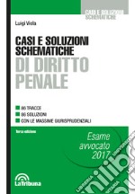 Casi e soluzioni schematiche di diritto penale libro