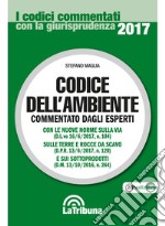 Codice dell'ambiente libro