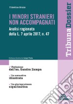 I minori stranieri non accompagnati. Analisi ragionata della L. 7 aprile 2017, n. 47 libro