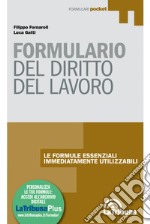 Formulario di diritto del lavoro. Con Contenuto digitale (fornito elettronicamente)