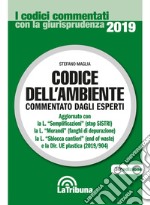 Codice dell'ambiente libro