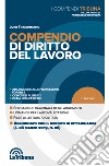 Compendio di diritto del lavoro libro