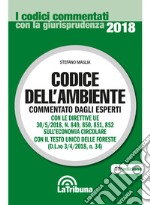 Codice dell'ambiente libro