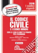 Il codice civile e i codici minori libro