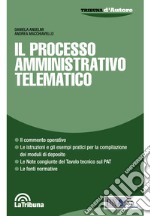 Il processo amministrativo telematico