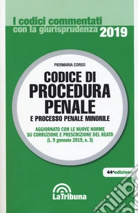 Codice di procedura penale e processo penale minorile