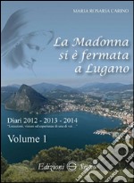 La Madonna si è fermata a Lugano. Diari 2012-2013-2014