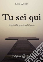 Tu sei qui. Segni della grazia del Signore