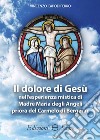 Il dolore di Gesù nell'esperienza mistica di Madre Maria degli Angeli priora del Carmelo di Bergerac libro