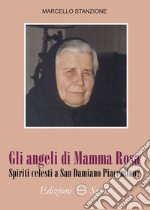 Gli angeli di Mamma Rosa. Spiriti celesti a San Damiano Piacentino? libro