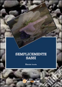 Semplicemente sassi