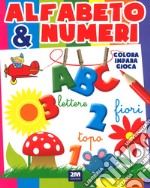 Alfabeto e numeri. Ediz. a colori libro