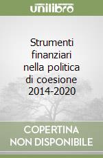 Strumenti finanziari nella politica di coesione 2014-2020 libro