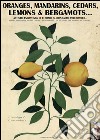 Oranges, mandarins, cedars, lemons & bergamots... Artistic engravings of Ferrari, Aldovrandi, Volckhamer... libro