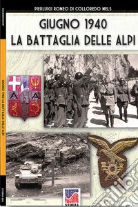 Giugno 1940: la battaglia delle Alpi. Ediz. illustrata libro