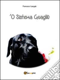 'O sistema guagliù libro