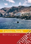Il  turismo a Tenerife. Dinamiche e problemi libro