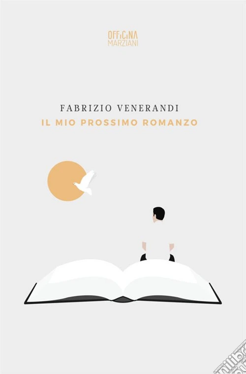 Il mio prossimo romanzo